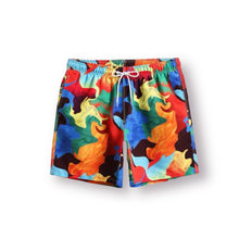 Load image into Gallery viewer, KAZ Trunks